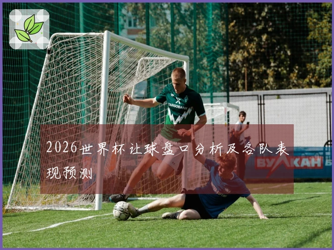 2026世界杯让球盘口分析及各队表现预测