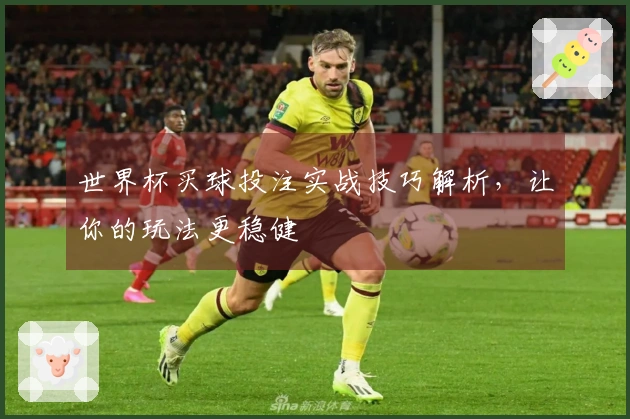 世界杯买球投注实战技巧解析，让你的玩法更稳健