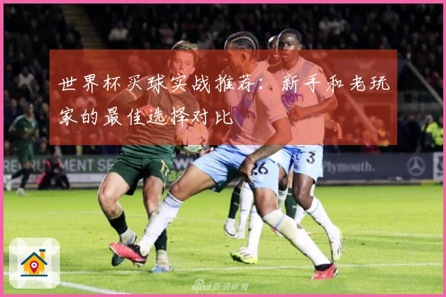 世界杯买球实战推荐：新手和老玩家的最佳选择对比